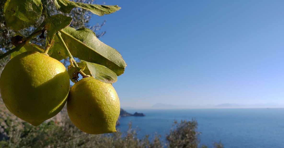 Genuine Cooking Class With a Locals From Generations - Welcome Aperitif