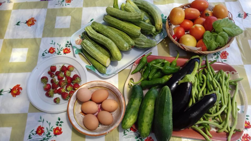Genuine Cooking Class With a Locals From Generations - Homemade Pasta Dishes