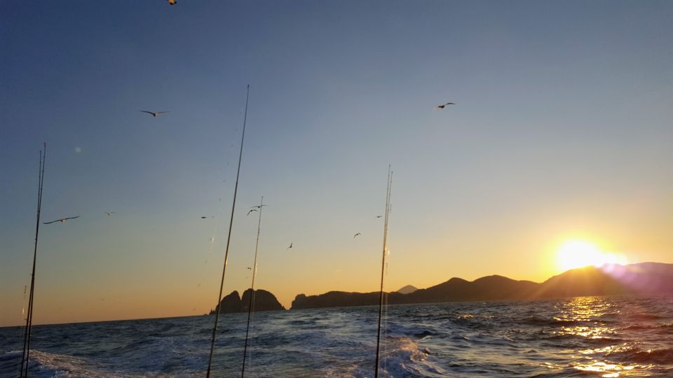 Geoje Island: Deep Sea Fishing - Jigging for Yellow Tail - Filleting and Preparation Services