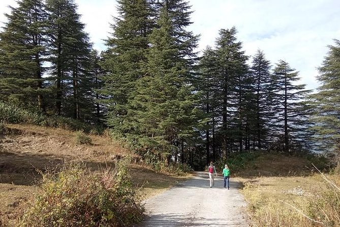 George Everest Nature Walk | Mussoorie - Meeting and Pickup Details