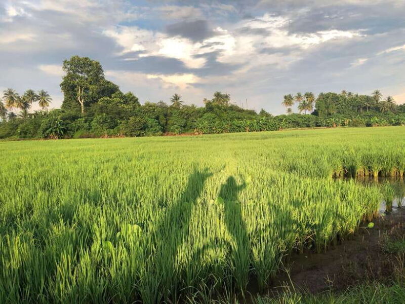 George Town: Balik Pulau Countryside Morning Cycling Tour - Authentic Experiences and Authentic Flavors