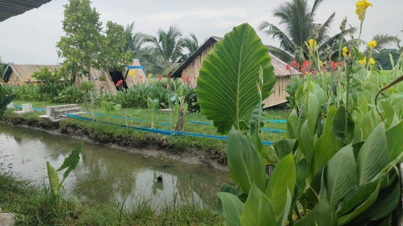 George Town: Balik Pulau Countryside Morning Cycling Tour - Value and Practical Considerations