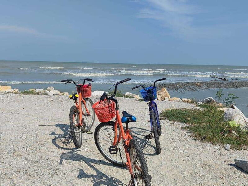 George Town: Balik Pulau Countryside Morning Cycling Tour - Final Thoughts: Who Will Love This Tour?