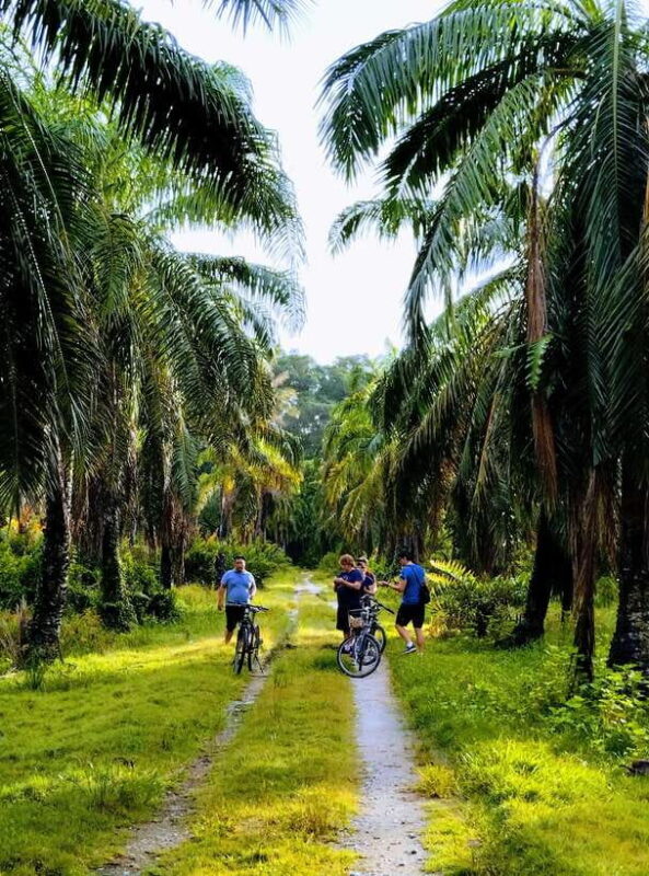 George Town, Penang: Malay Countryside Cycling - Introduction: An Authentic Ride Through Penang’s Countryside