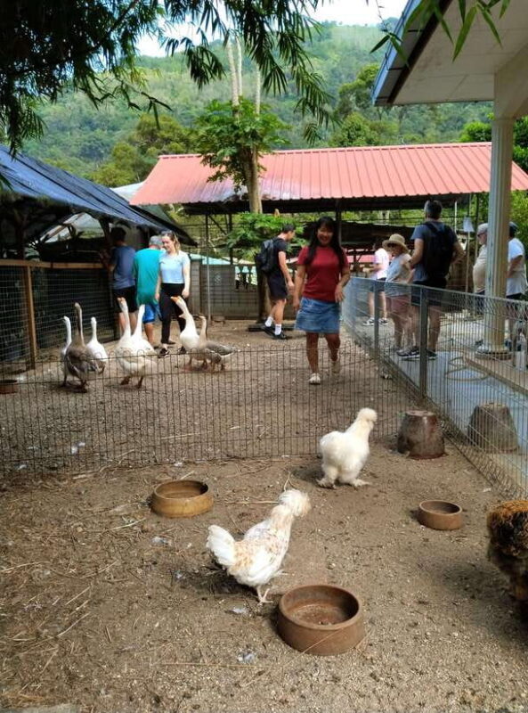 George Town, Penang: Malay Countryside Cycling - The Value and Why It’s Worth It