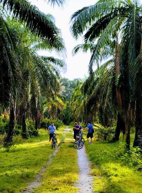 George Town, Penang: Malay Countryside Cycling - The Sum Up: A Genuine Peek Into Malaysian Rural Life
