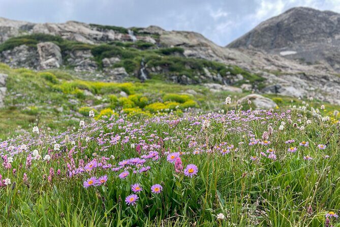 Georgetown via Guanella Pass Private Colorado Adventure Tour - Weather and Cancellation Policies