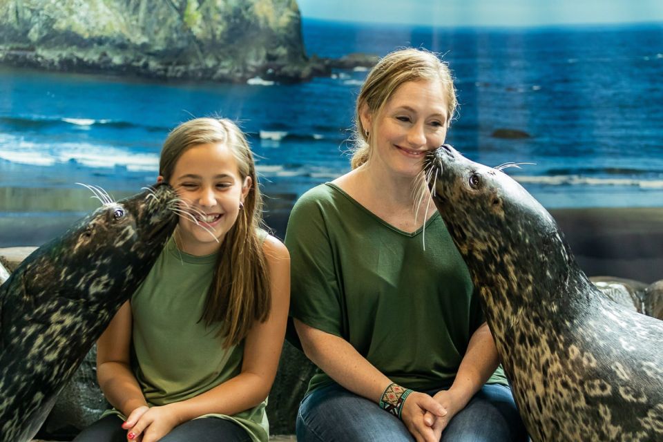 Georgia Aquarium: Harbor Seal Animal Encounter - Inclusion and Pricing