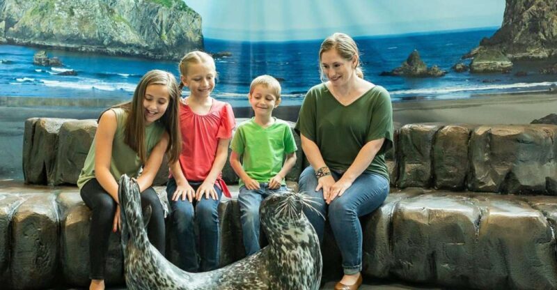 Georgia Aquarium: Sea Lion Encounter - Key Points