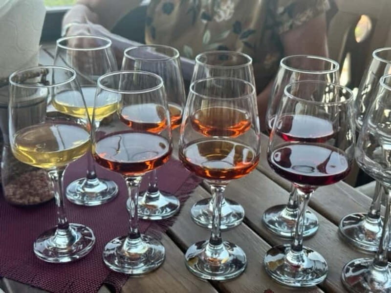 Georgian Wine Tasting at Local Cellar in Batumi - Value and Price Analysis