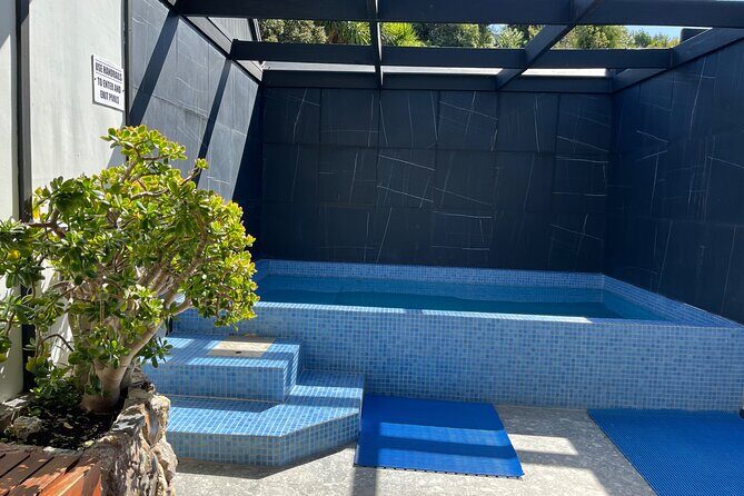 Geothermal Mineral Bathing Hot Pool Experience - Key Points