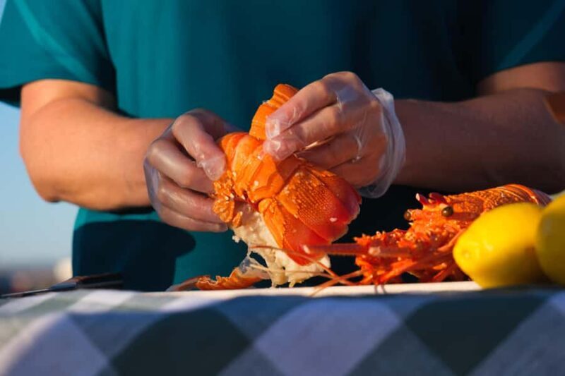 Geraldton: Behind-The-Scenes Ocean Harvest Tour - What to Expect from the Geraldton Ocean Harvest Tour