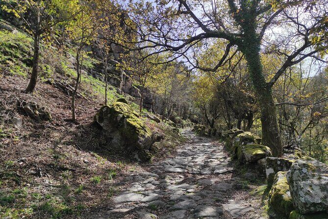 Gerês National Park with activities - Private half day/from Porto - Who Will Love This Tour?