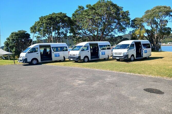 German Speaking Tour of Kawiti Glow Worm Caves, Opua Kauri Walk - Practical Details and Value