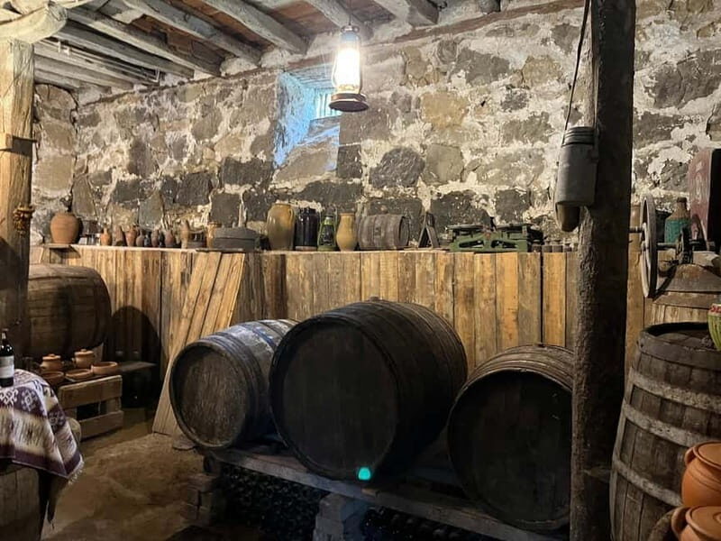 German village in Georgia (Elisabethal) & Wine tasting - Who Should Consider This Tour?  