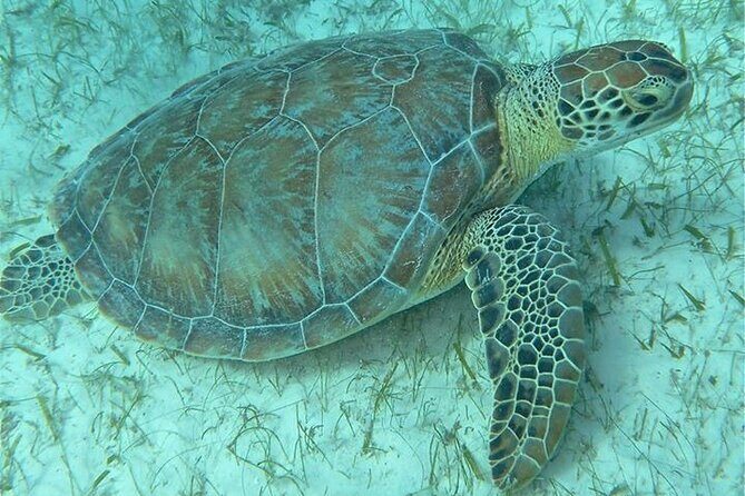 Get SCUBA Certified at San Juan - Final Word