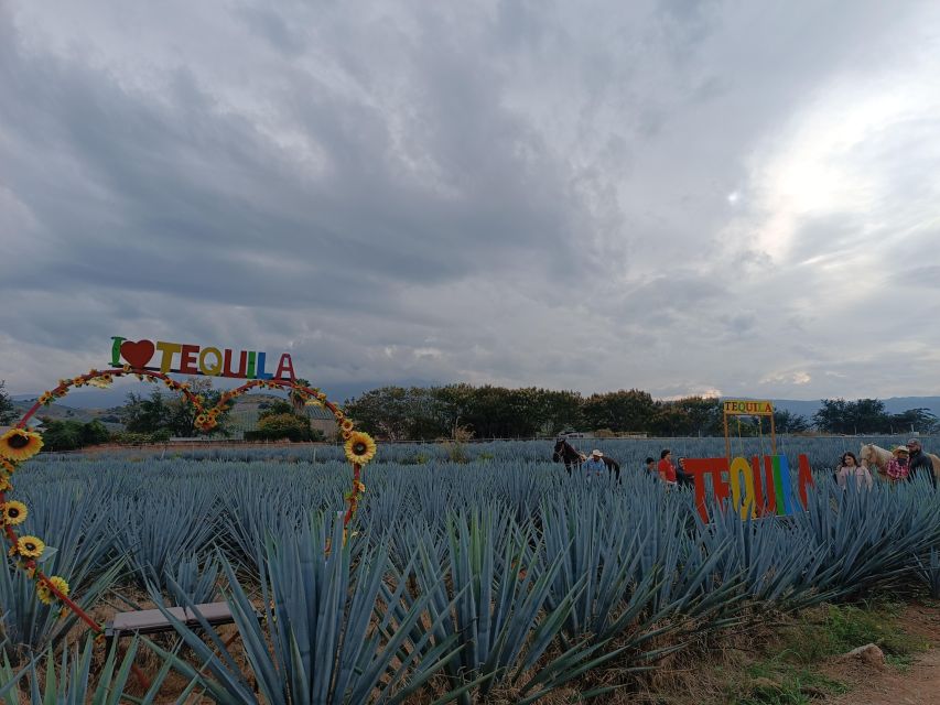 Get to Chile: Know Everything About Tequila in La Rienda - Key Points