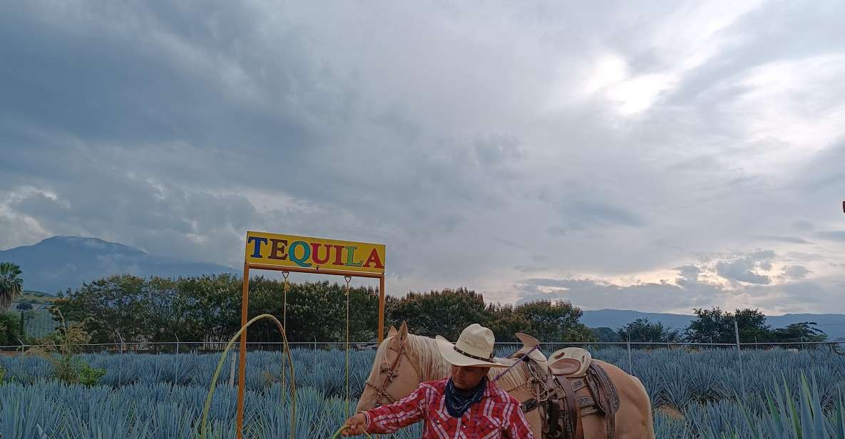 Get to Chile: Know Everything About Tequila in La Rienda - Itinerary Highlights