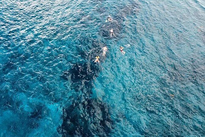 Get to know heaven on earth with Chivis del mar private - An In-Depth Look at This Cozumel Snorkeling Adventure