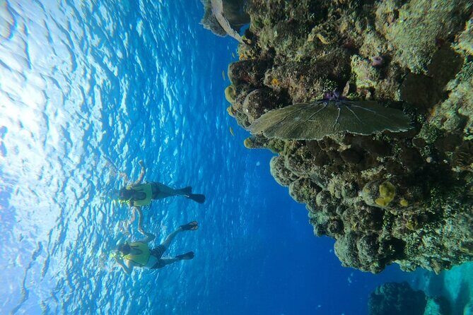 Get to know heaven on earth with Chivis del mar private - FAQs