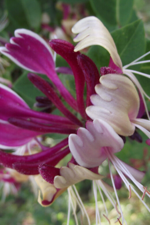 Get to know South Moravia with us. 6 hour tour. - Exploring South Moravia: A 6-Hour Guided Tour That Brings the Region to Life