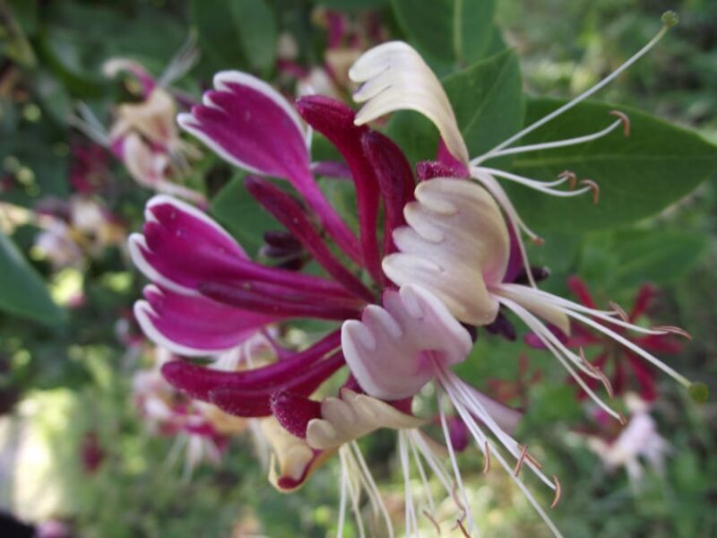 Get to know South Moravia with us. 6 hour tour. - The Practicalities: What You Need to Know