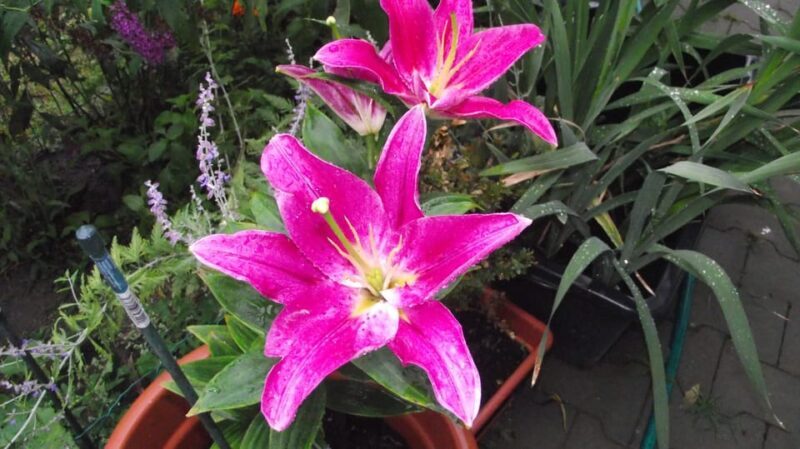 Get to know South Moravia with us. 6 hour tour. - Who Would Benefit Most from This Tour?