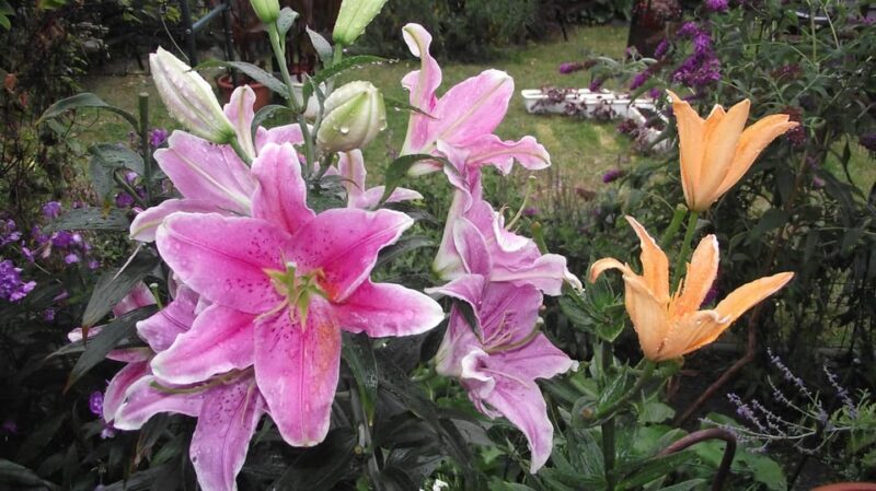 Get to know South Moravia with us. 6 hour tour. - The Sum Up: A Well-Rounded Day of Authentic South Moravia