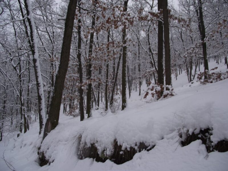 Get to Know South Moravia With Us. 6 Hour Tour. - Variant 2 Highlights