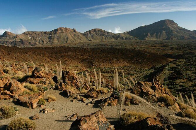 Get to know the Teide National Park and the south of Tenerife on a private tour - Final Thoughts