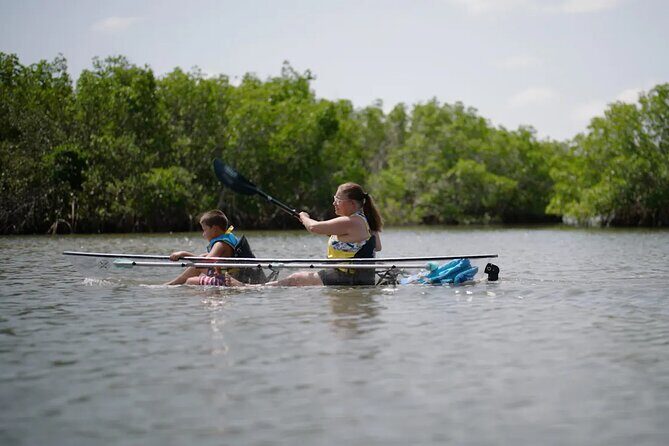 Get Up And Go Kayaking - New Smyrna Beach - An In-Depth Look at the Eco-Kayaking Experience