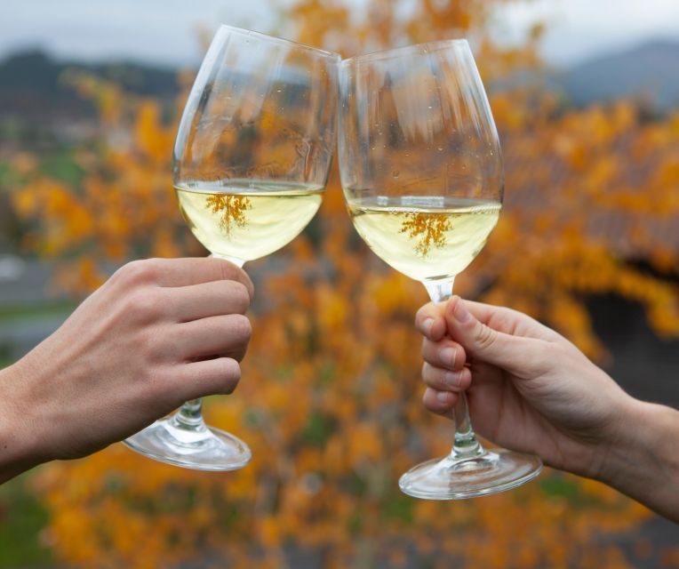 Getaria Txakoli Wine Tour From San Sebastian - Inclusions