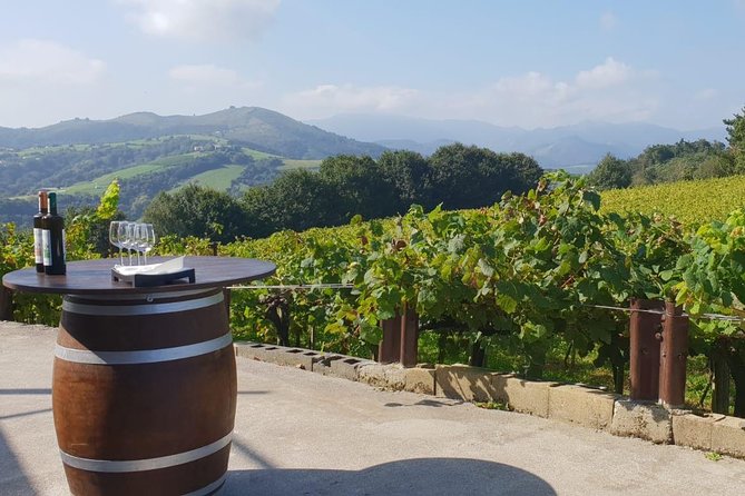 Getaria Txakoli Wine Tour With Hotel Pick-Up From San Sebastian - Tips for Enjoying Your Tour
