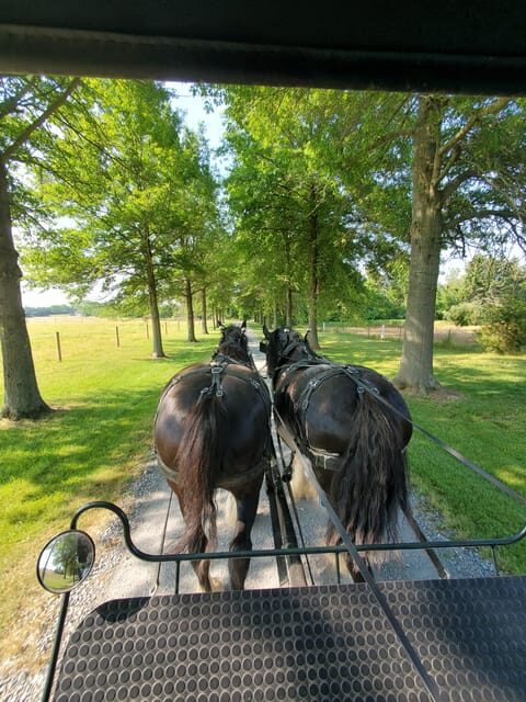 Gettysburg: Horse-Drawn Carriage Tour Countryside & Orchards - An In-Depth Look at the Carriage Tour Experience