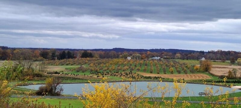 Gettysburg: Horse-Drawn Carriage Tour Countryside & Orchards - Final Thoughts: Who Should Consider This Tour?