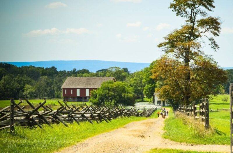 Gettysburg: Private Tour with Licensed Battlefield Guide - What You’ll See and Learn