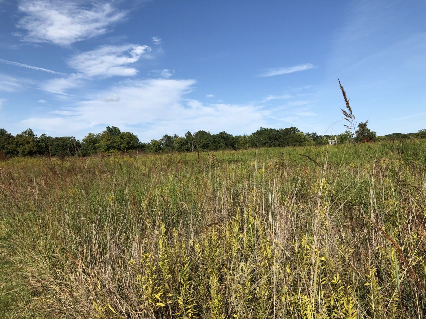 Gettysburg: The Wonder Womens Hidden Valor Walking Tour - Jennie Wades Fateful Encounter