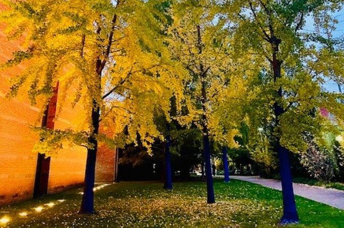 Ghostly Tales of Salem Walking Tour - Who Would Enjoy This Tour?