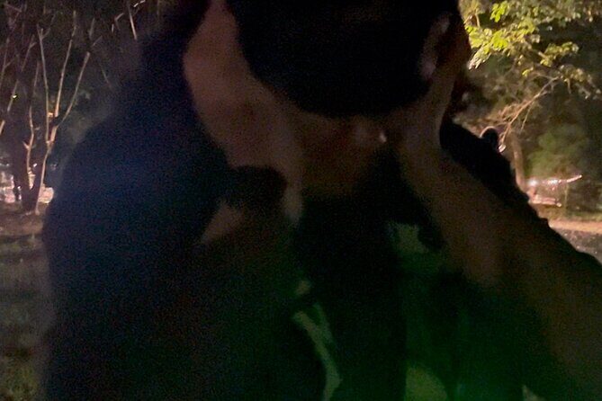 Ghosts of Blue Ridge: Shadows on the Ridge - The Sum Up