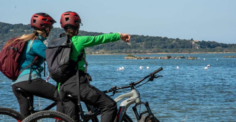 Gialova: Navarino Bay E-Bike Tour With Waterfall Swim - Guided E-Bike Experience