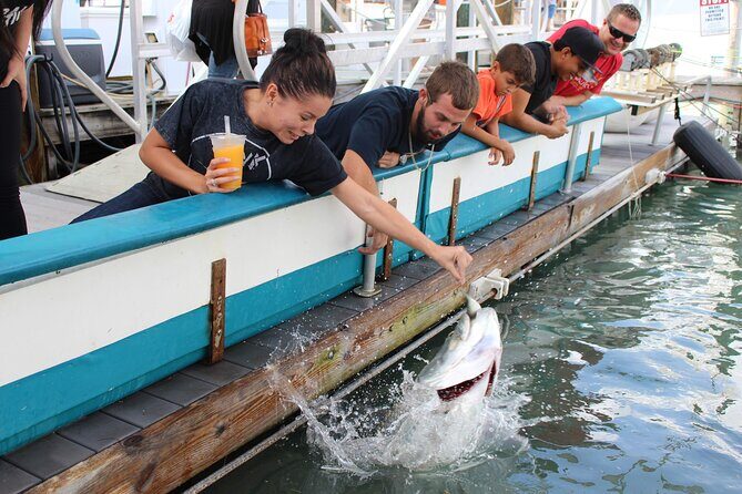 Giant Tarpon Fish Feeding Experience in Bayside Marketplace - A Close Encounter with Miami’s Silver Kings: The Giant Tarpon Fish Feeding Experience