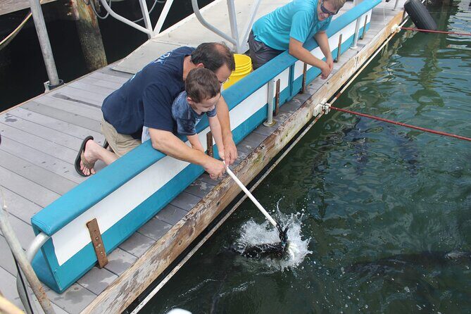 Giant Tarpon Fish Feeding Experience in Bayside Marketplace - Who Will Love It?