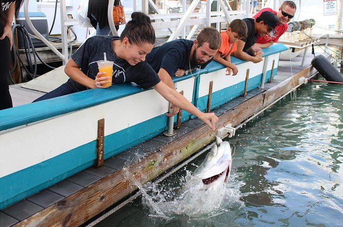 Giant Tarpon Fish Feeding Experience in Bayside Marketplace - FAQs