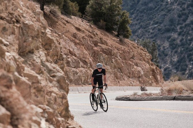 Giant TCR Advanced 1 - Booking Information