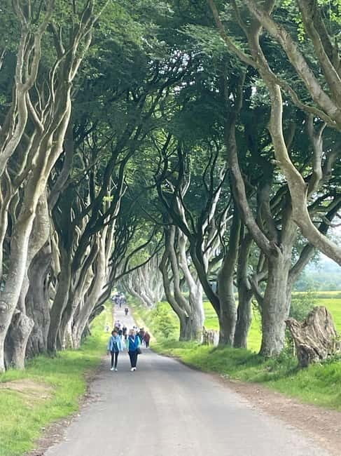 Giants Causeway 4 Hour Private Tour - The Value Proposition – Is It Worth It?