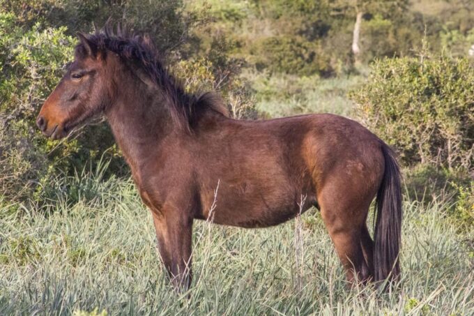 Giara Hiking Tour - What to Bring