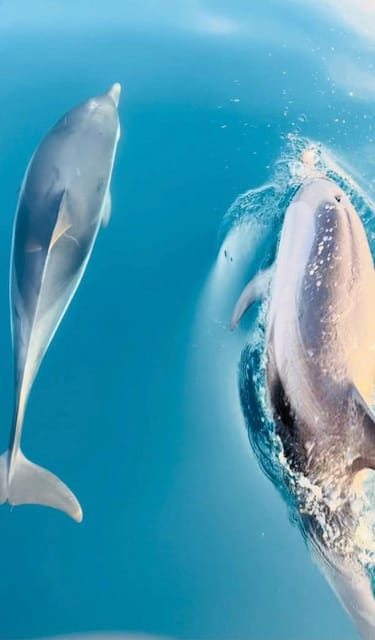 Giardini Naxos: Sunset Dolphin Watching Cruise With Aperitif - Tour Overview and Details