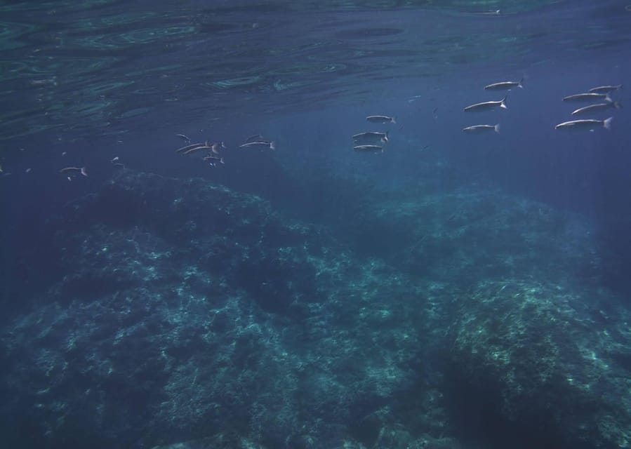 Giardini Naxos - Taormina 2 Hours Boat Tour With Snorkeling - Tour Overview