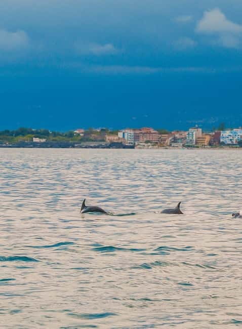 Giardini Naxos Taormina: Dolphin Watching Sunset Tour - Introduction