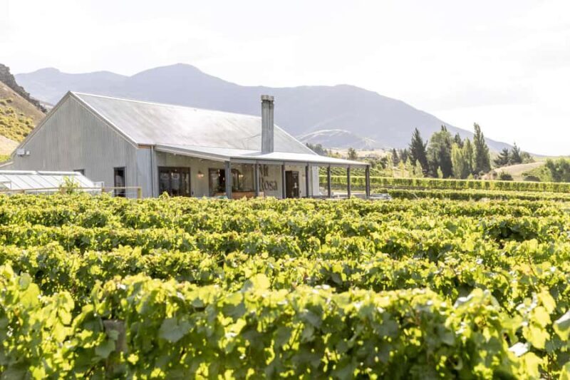 Gibbston: Mt Rosa Wine Tasting Experience - The Experience in Detail